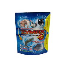 โหลดรูปภาพลงในเครื่องมือใช้ดูของ Gallery ZYMAX-100 PREMIX (1 kg)