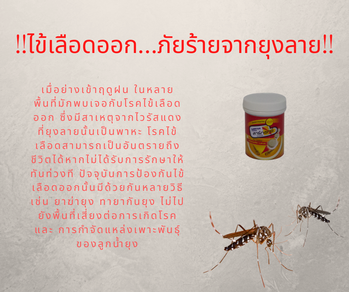 ไข้เลือดออก...ภัยร้ายจากยุงลาย